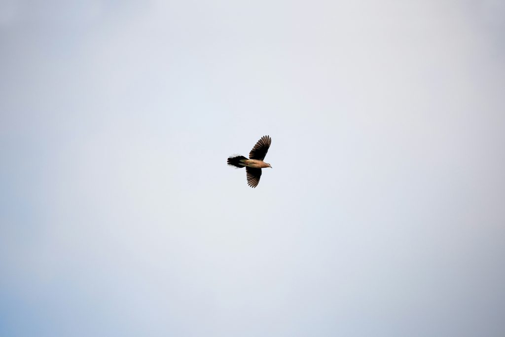 Photo by Milin John on Unsplash